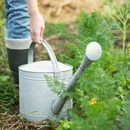 Miniatura: Konewki ogrodowe