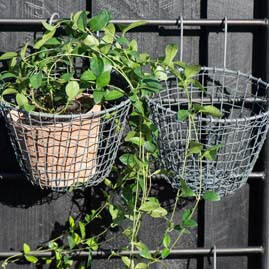 Miniatura: Kosze i koszyki druciane